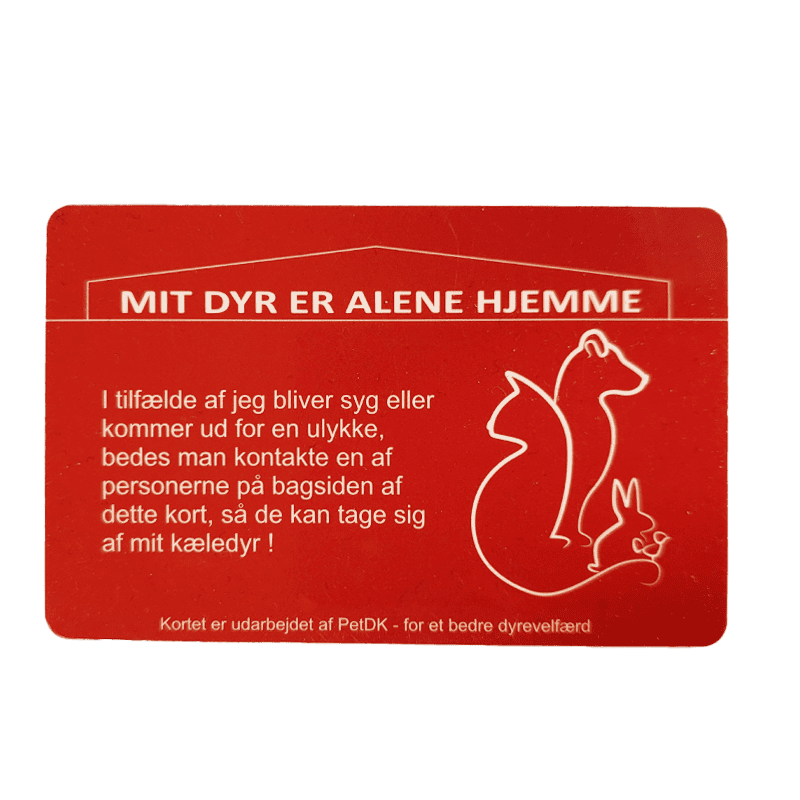 Plastikkort “Mit dyr er alene hjemme” - Billede 2
