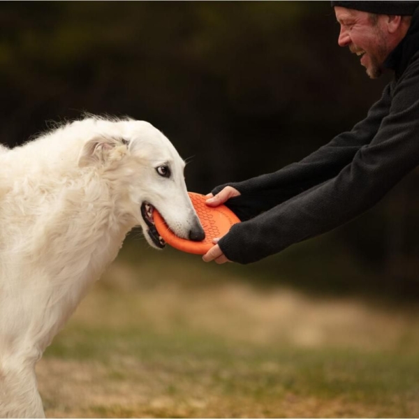 Non-Stop Frisbee, Orange/sort