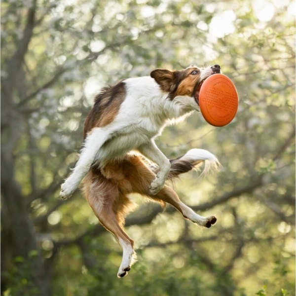 Non-Stop Frisbee, Orange/sort