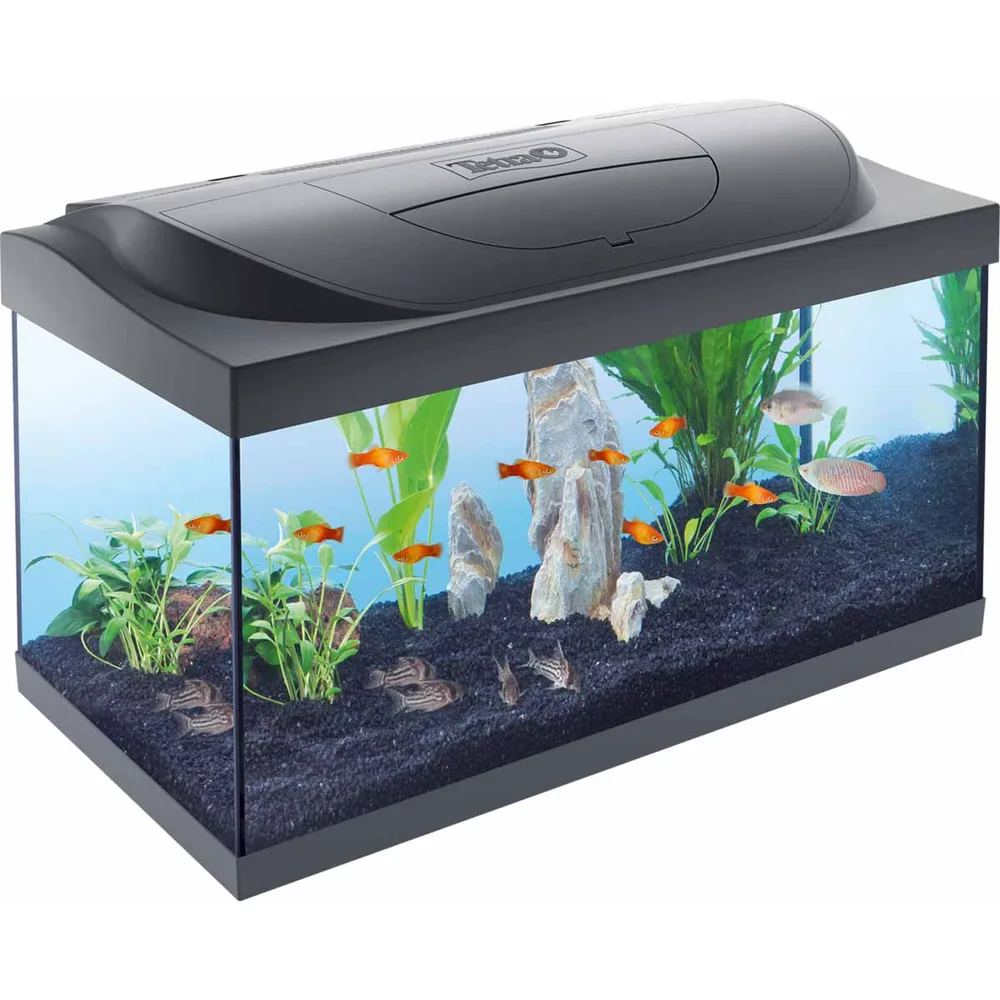 Tetra Starter akvarie 54 L