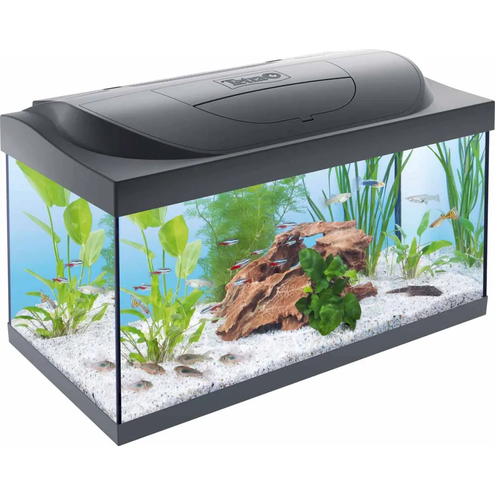 Tetra Starter akvarie 54 L