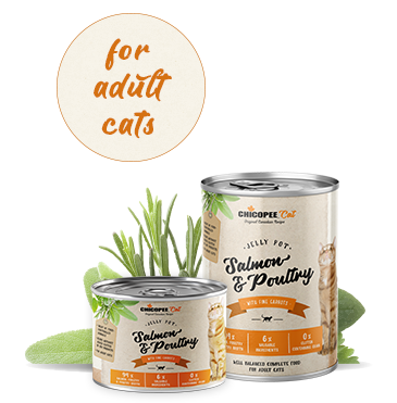 Chicopee vådkost Salmon & Poultry 195 g.