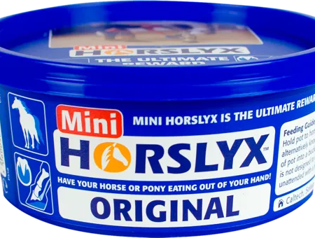 Horslyx Original Mini Lick 650 g.