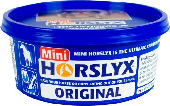 Horslyx Original Mini Lick 650 g.