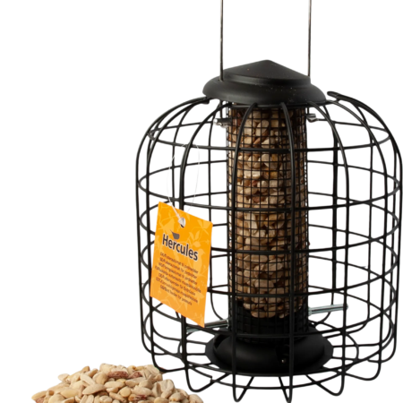 Hercules Metal fugleautomat til nødder
