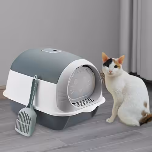 kattebakke lugter