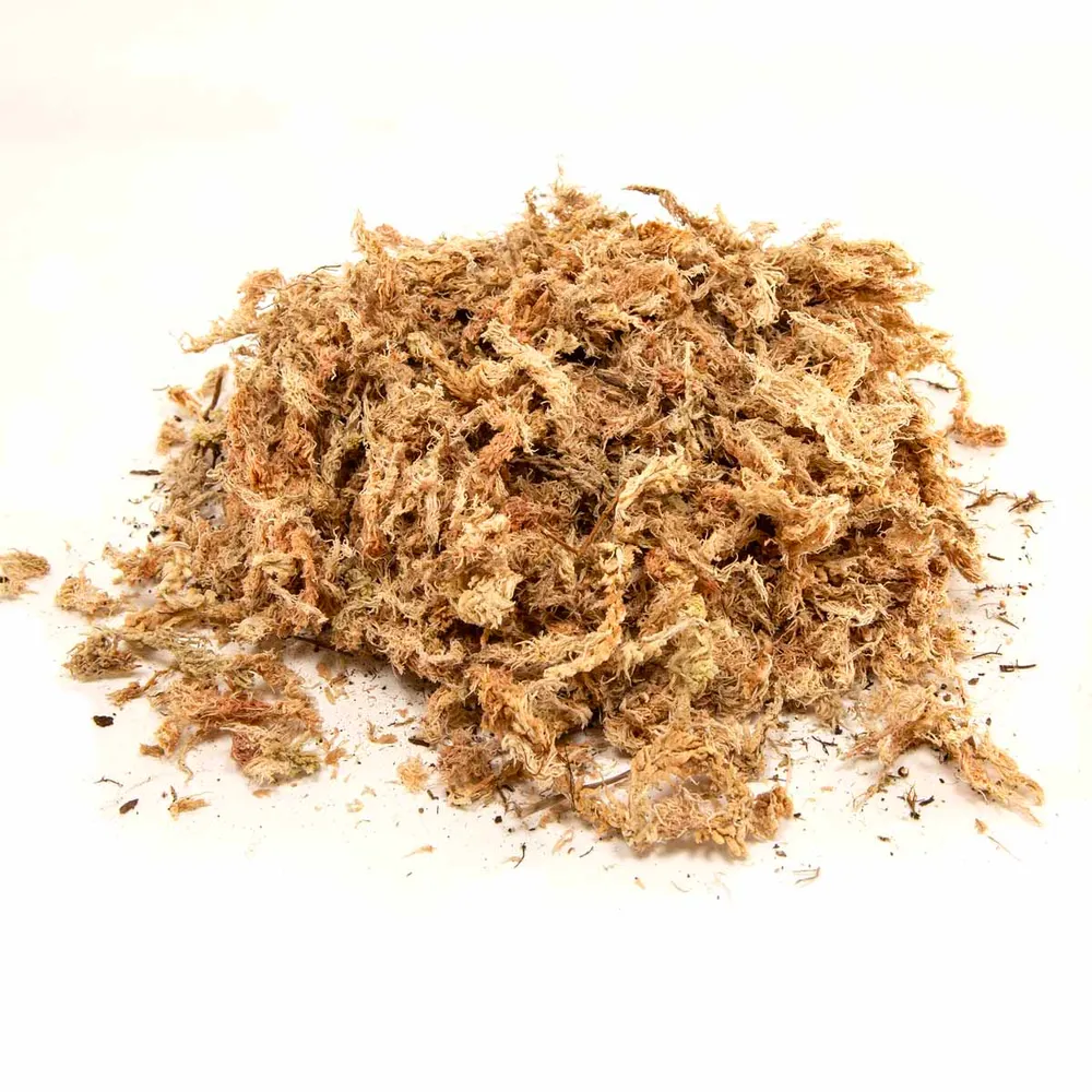 Zoo Med Sphagnum Mos 150 g.
