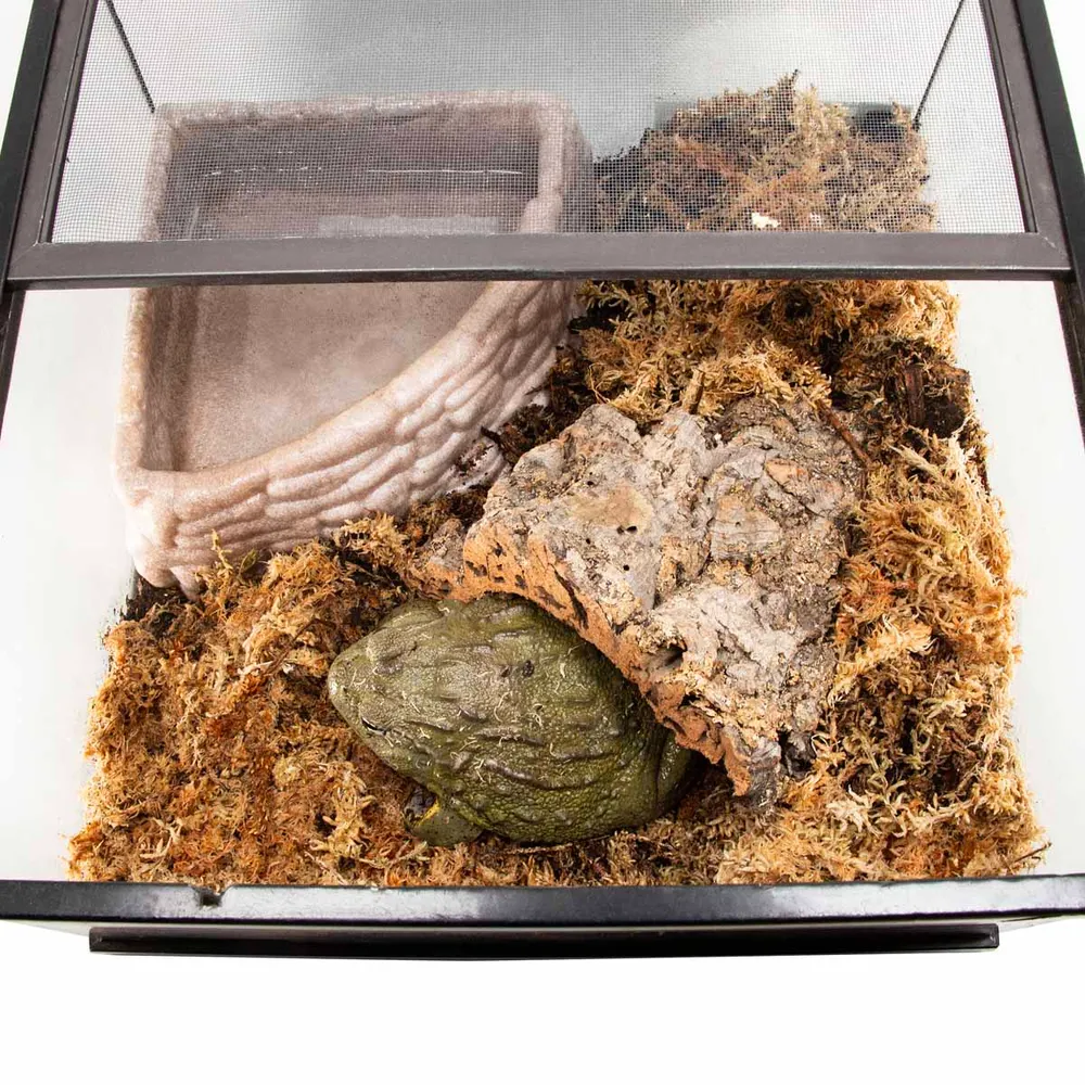 Zoo Med Sphagnum Mos 150 g.