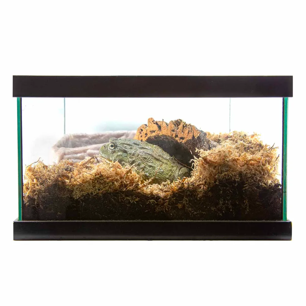 Zoo Med Sphagnum Mos 150 g.