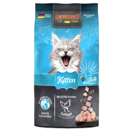 Leonardo Classic Kitten