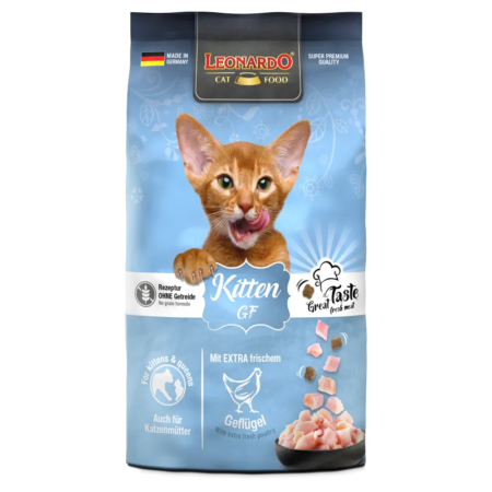 Leonardo GF Kitten