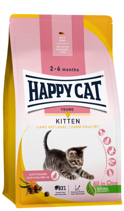 Happy cat killingefoder