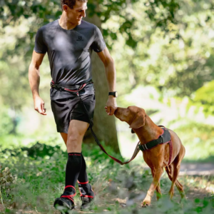 Rogz Airtech Sportbælte med Line L/XL Rød 39-64 kg.