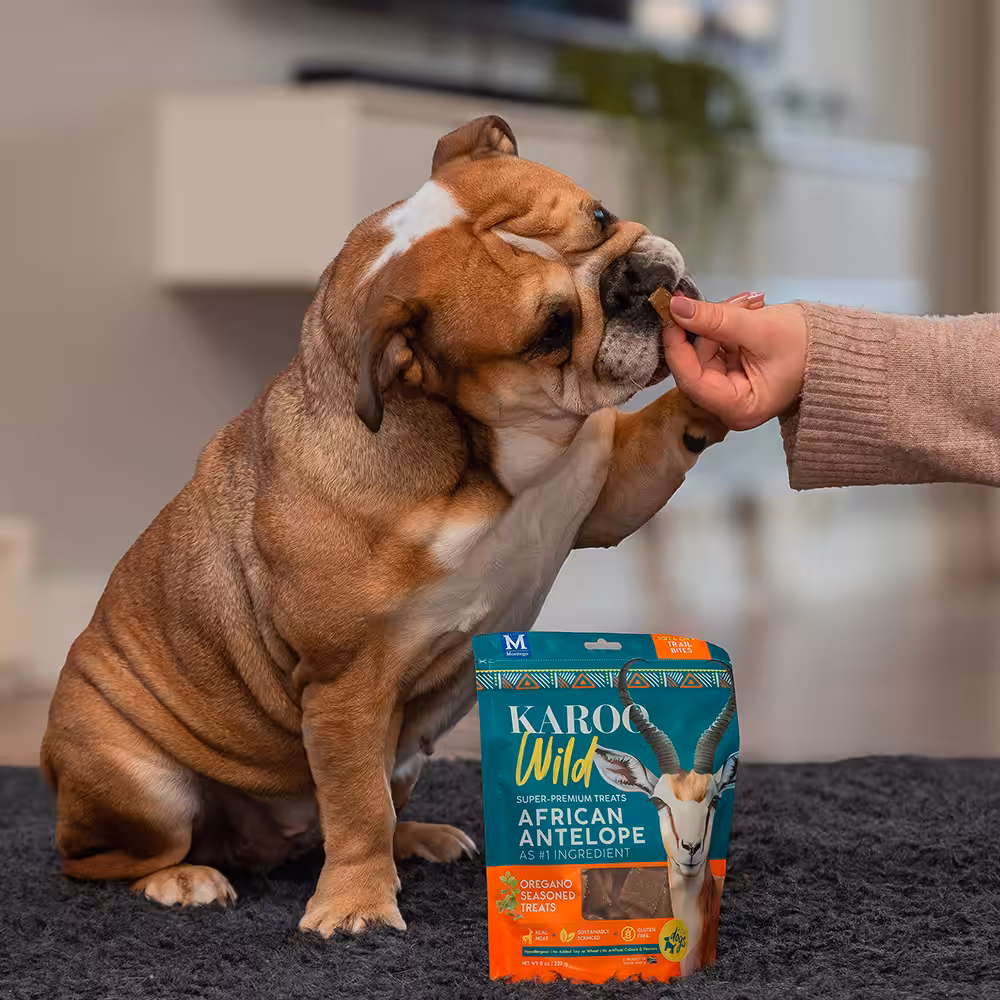 Karoo Wild Trail Bites Oregano 227 g.