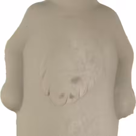 Flamingo DT Latex Squeaky Donkey 21 cm.