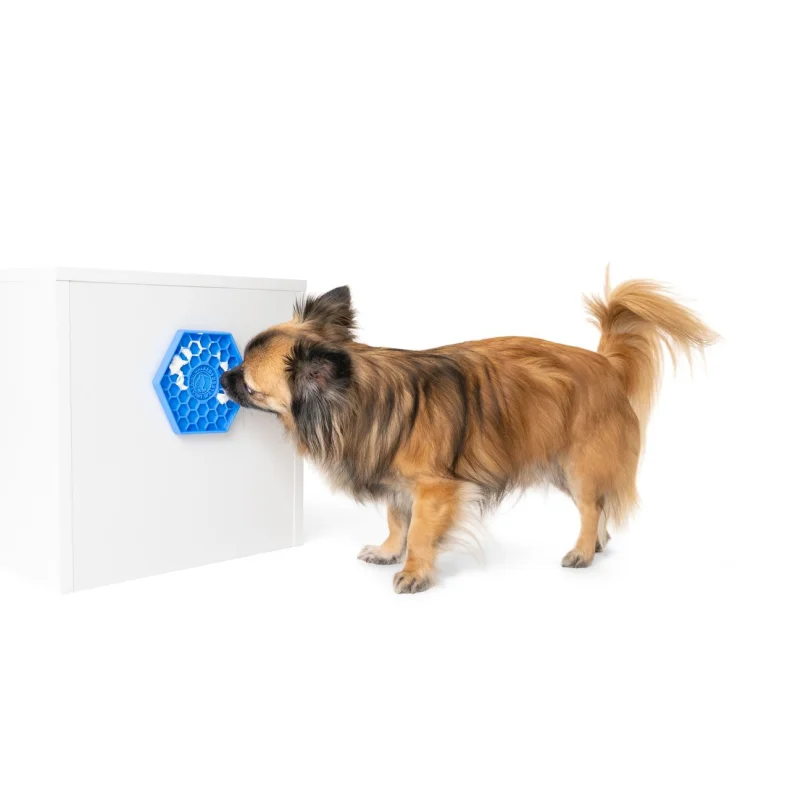 Kiwi Walker Lick Mat Hexa/Penta Mini