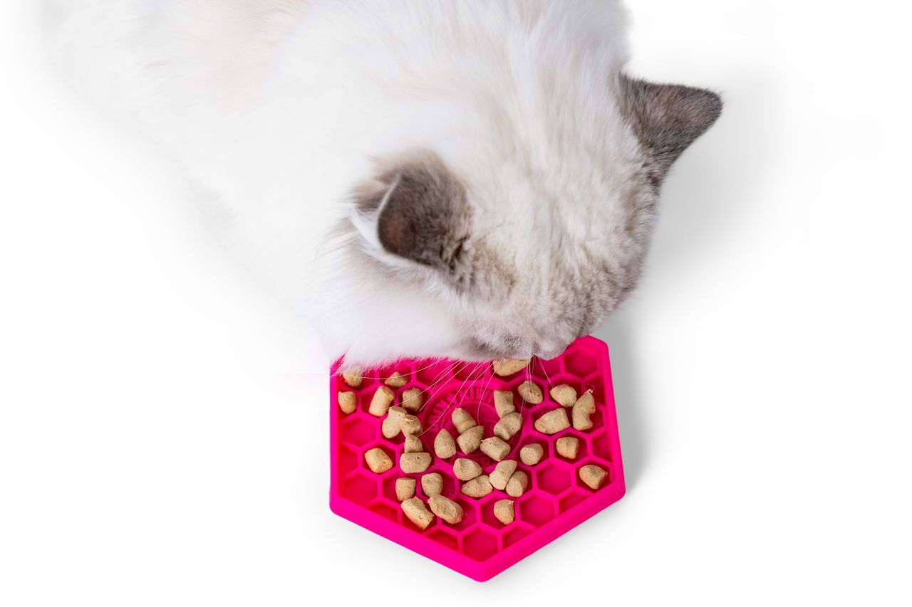Kiwi Walker Lick Mat Hexa/Penta Mini