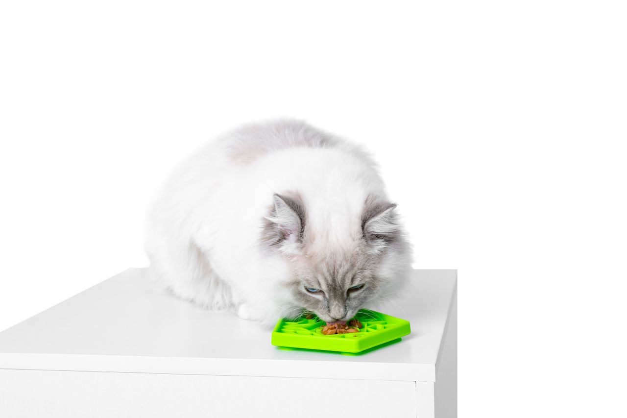 Kiwi Walker Lick Mat Hexa Mini