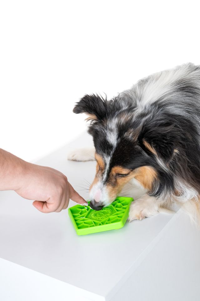 Kiwi Walker Lick Mat Hexa Mini