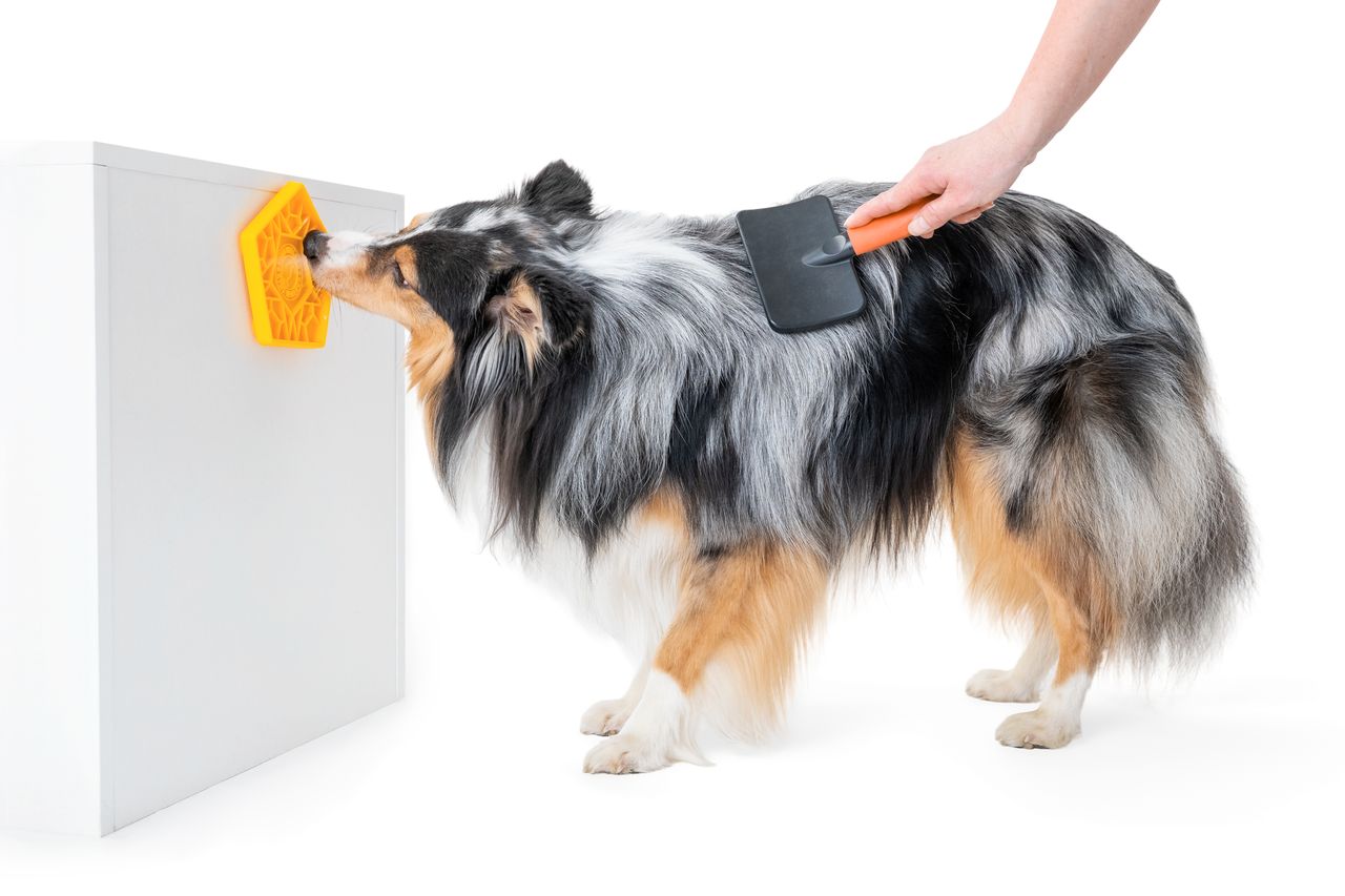 Kiwi Walker Lick Mat Hexa Mini