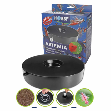 Hobby Artemia klækker