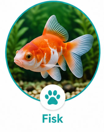 Fiskefoder