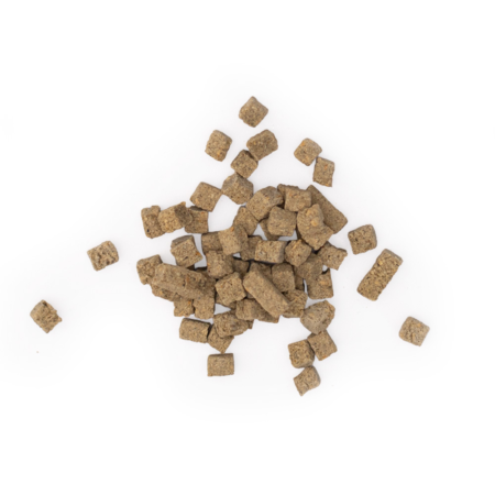 [01-913] Snack'it Mini Trainers Fisk 100g