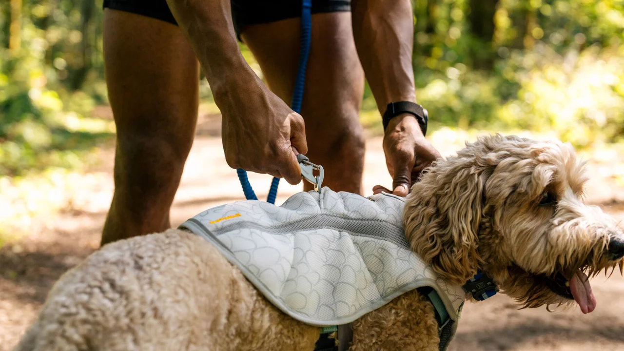 Ruffwear Swamp Cooler kølevest, grå. - Billede 4