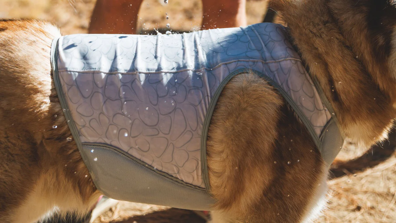 Ruffwear Swamp Cooler Zip™ kølevest, blå.