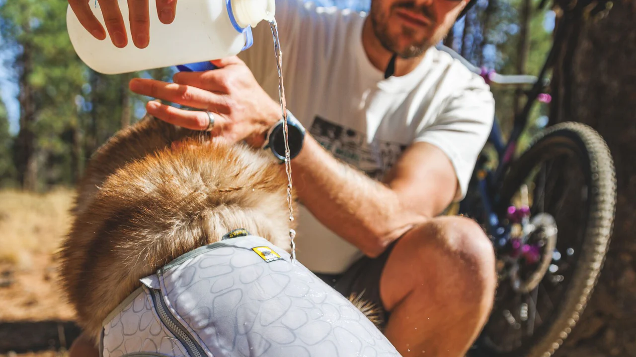 Ruffwear Swamp Cooler Zip™ kølevest, blå.
