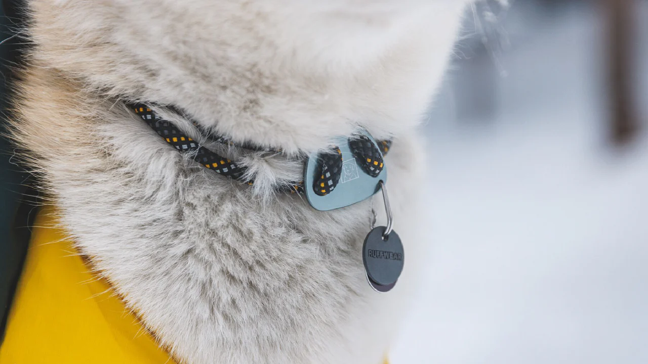 Ruffwear Knot-a-Collar halsbånd Blue Pool.