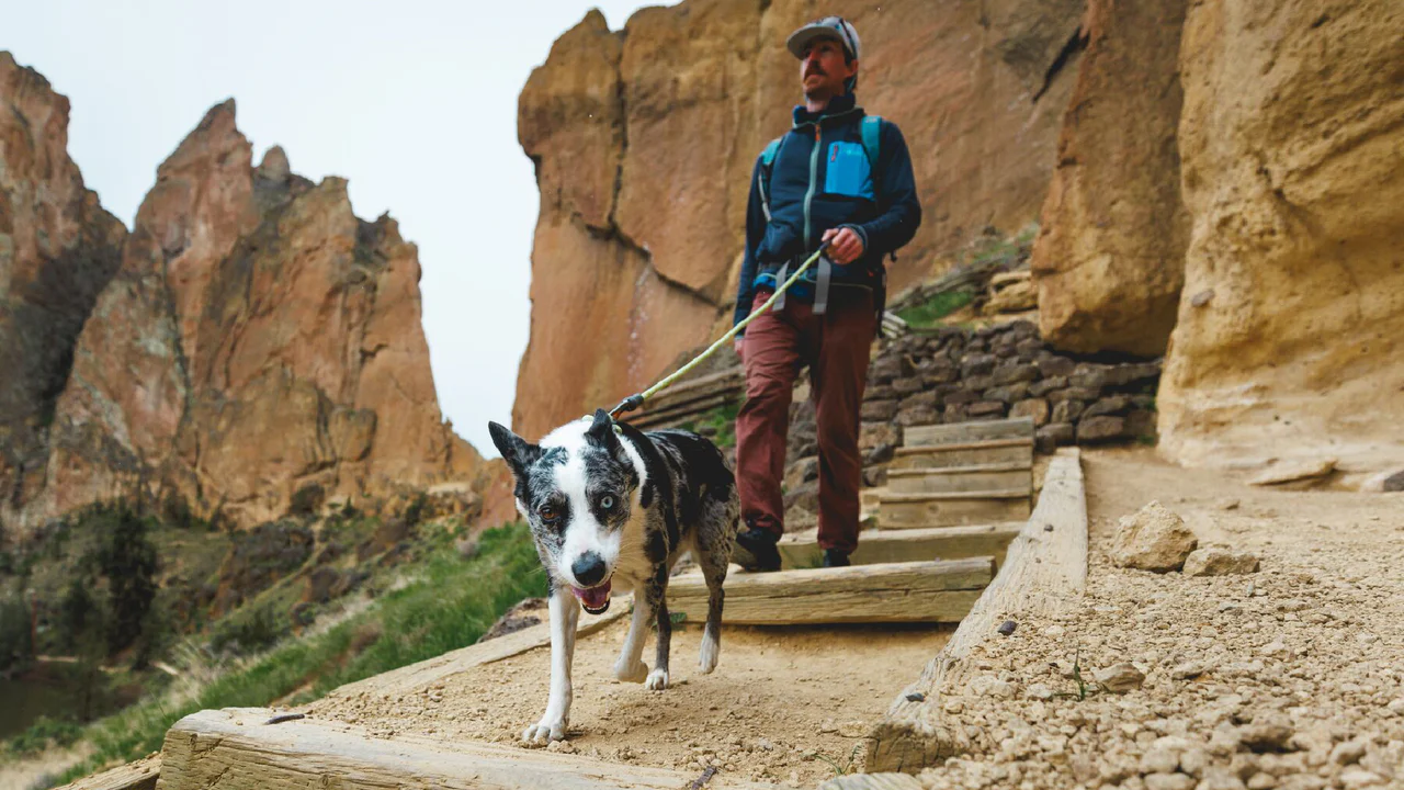 Ruffwear Knot-a-Collar halsbånd Blue Pool.