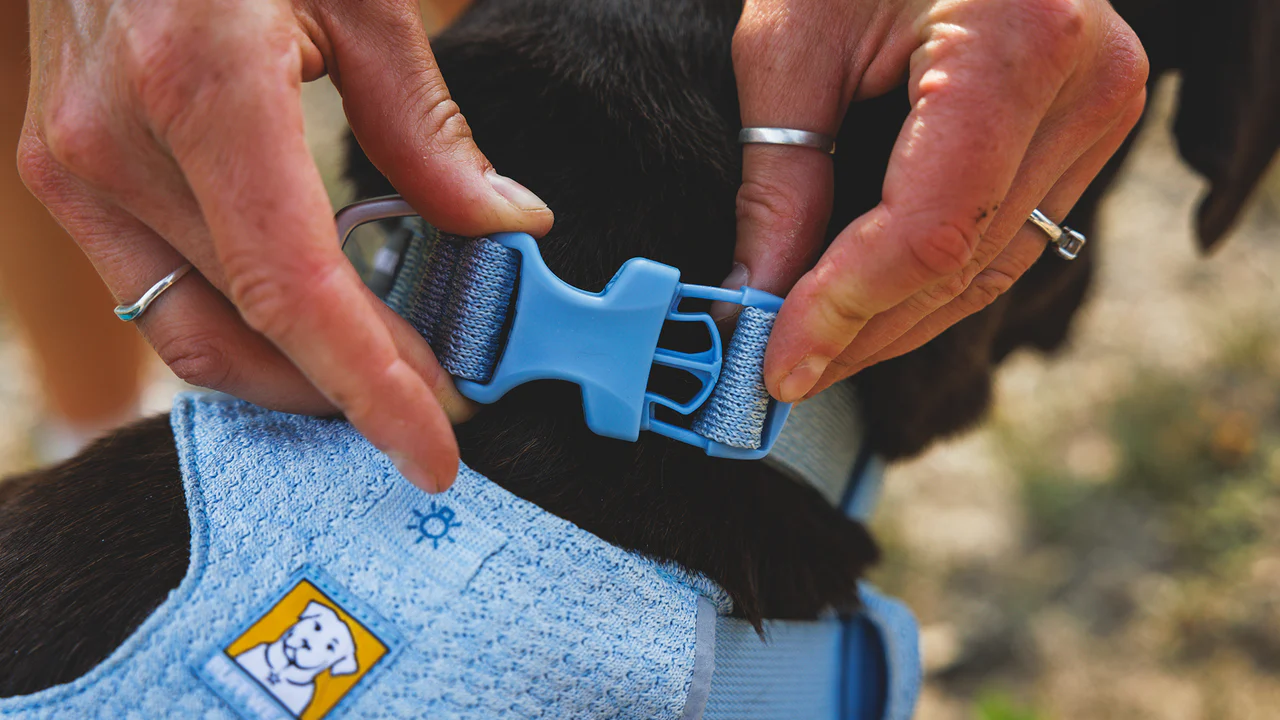 Ruffwear Front Range Flex halsbånd Bassalt Gray.