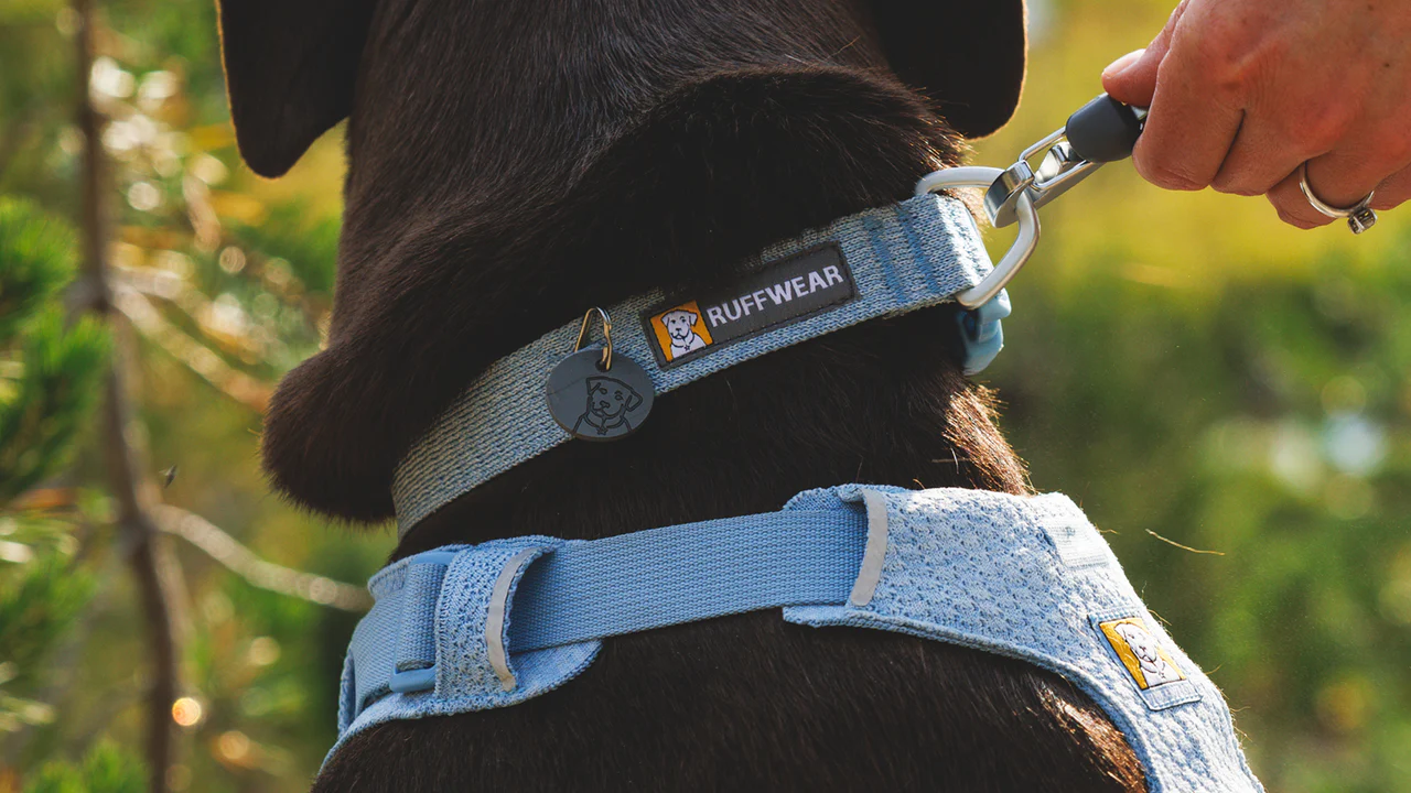 Ruffwear Front Range Flex halsbånd Polar Blue. - Billede 6