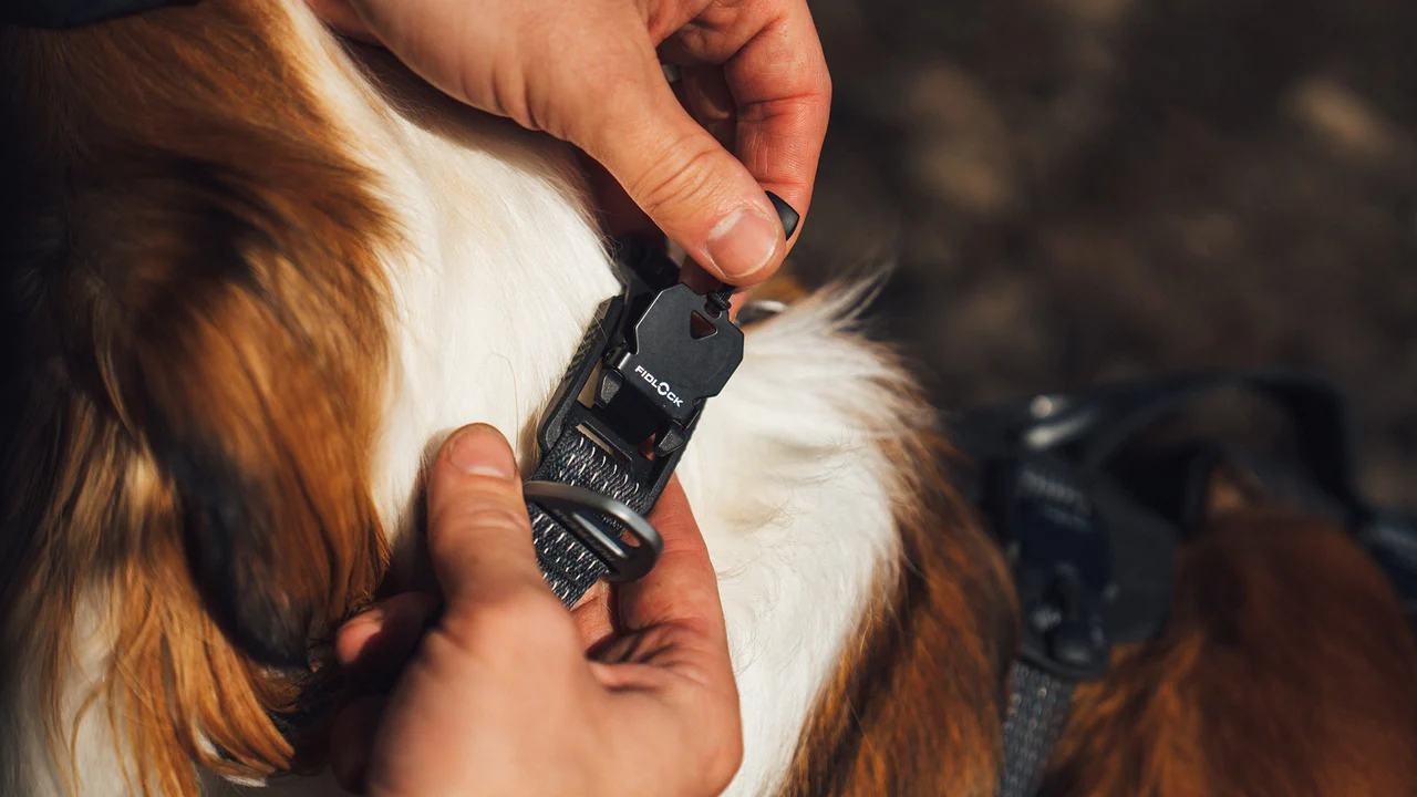 Ruffwear Ridgeline halsbånd Obsidian Black.