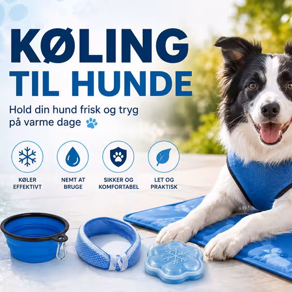 Køling af hund