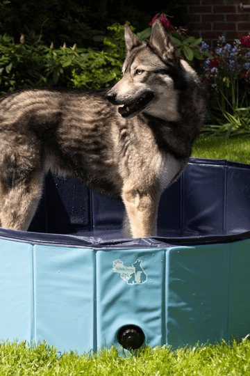 CoolPets Pool Ø120x30 cm.
