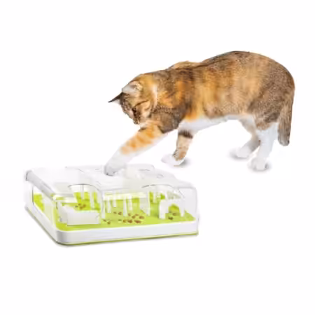 All For Paws Interactives Puzzle Cat Feeder