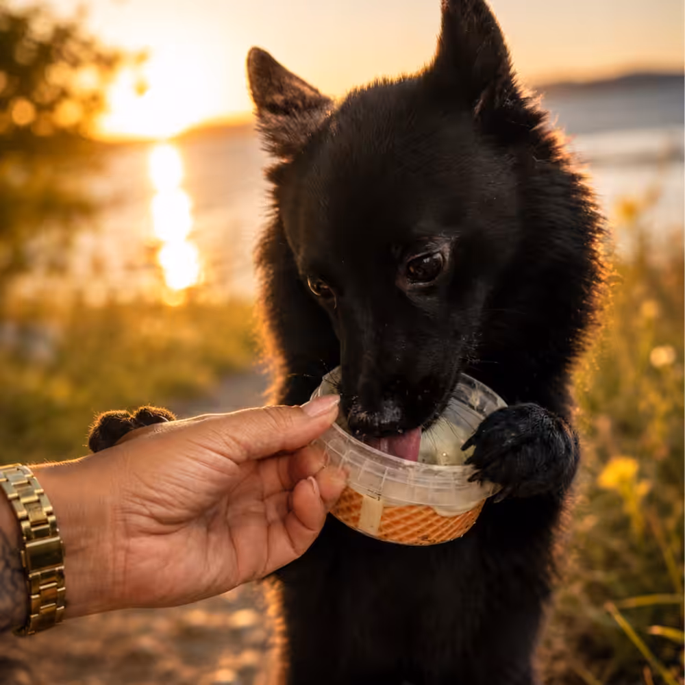 FidOvet Yogurt Vaniglia (Vanille)