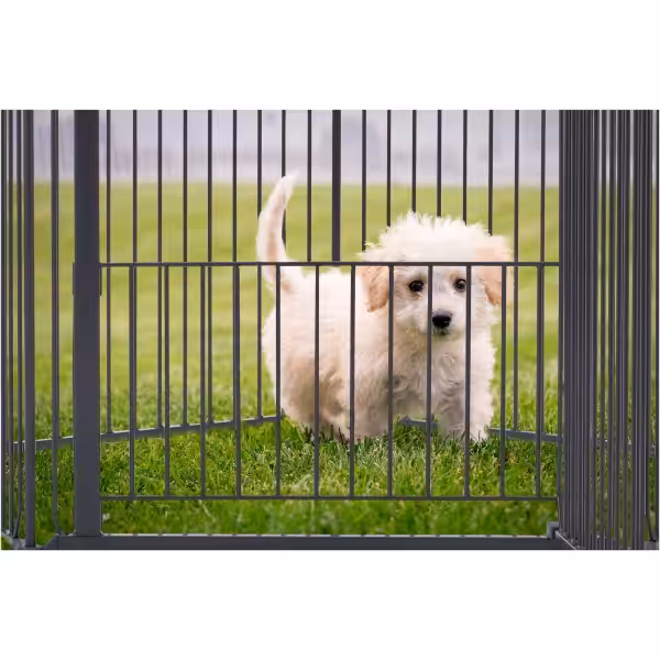 DogSpace King Mommy+ Supreme PuppyStay Pen/Room