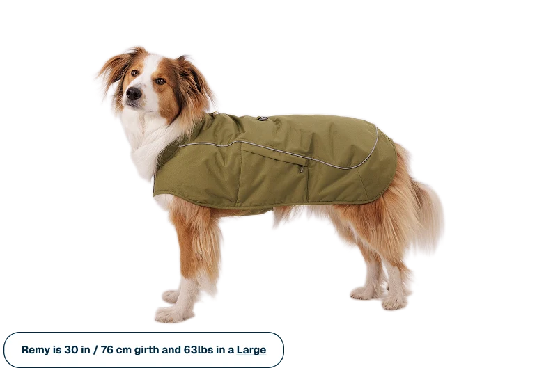 Ruffwear Overcoat Fuse™ Insulated Vest Cedar Green