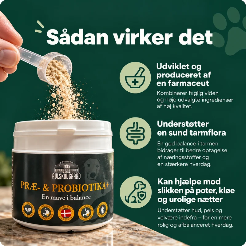 Avlskovgaard Præ & Probiotika+ 200 g.