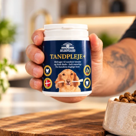 Avlskovgaard Tandpleje+