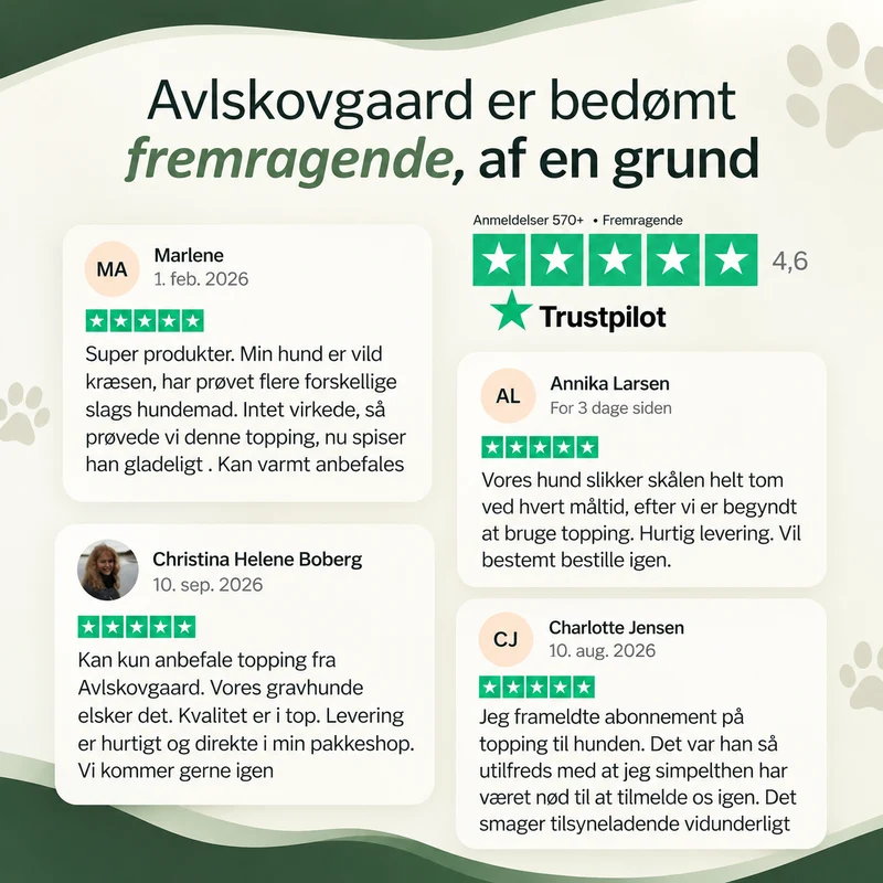 Avlskovgaard topping Laks 300 ml.