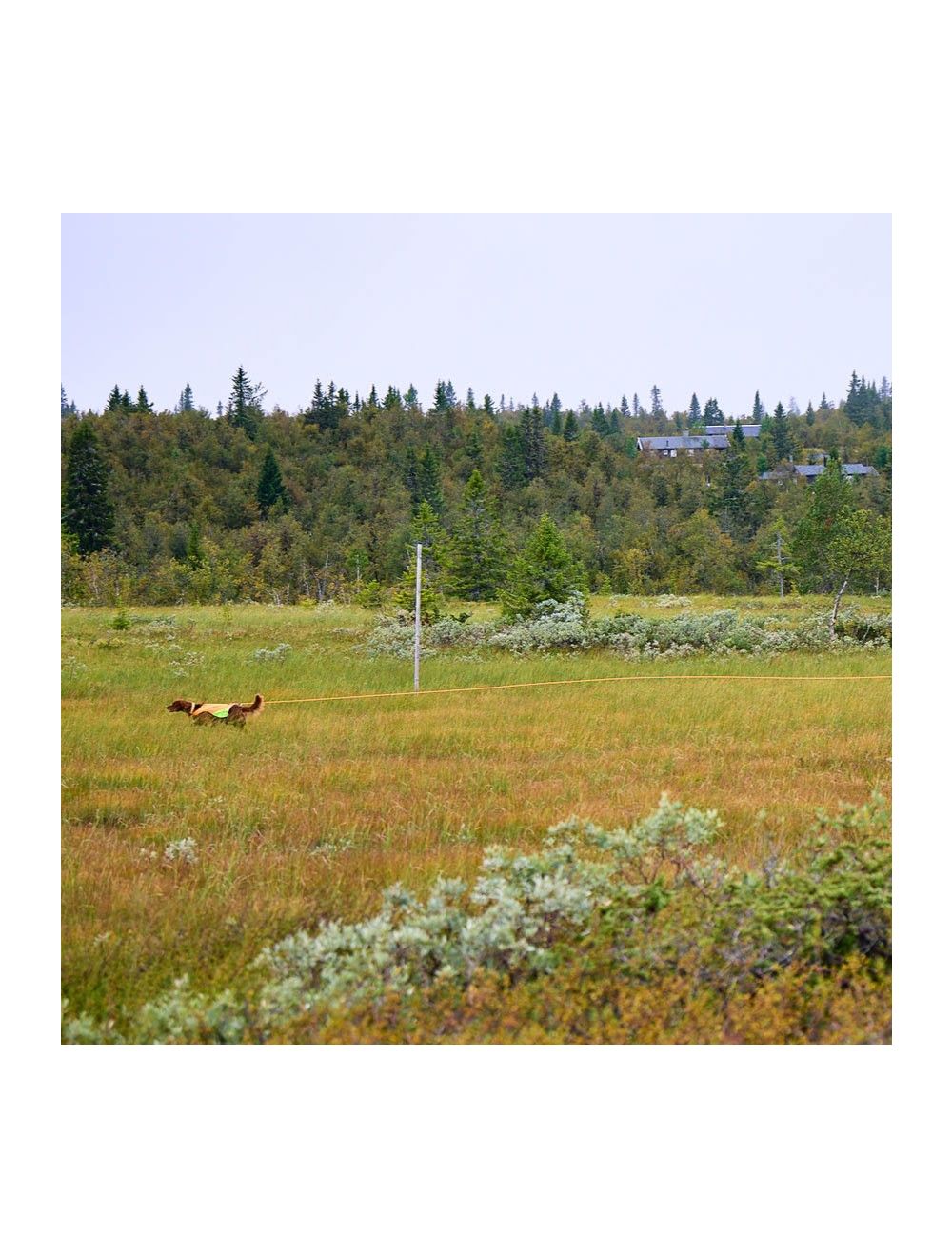 Non-Stop Protector rund lang line, orange.