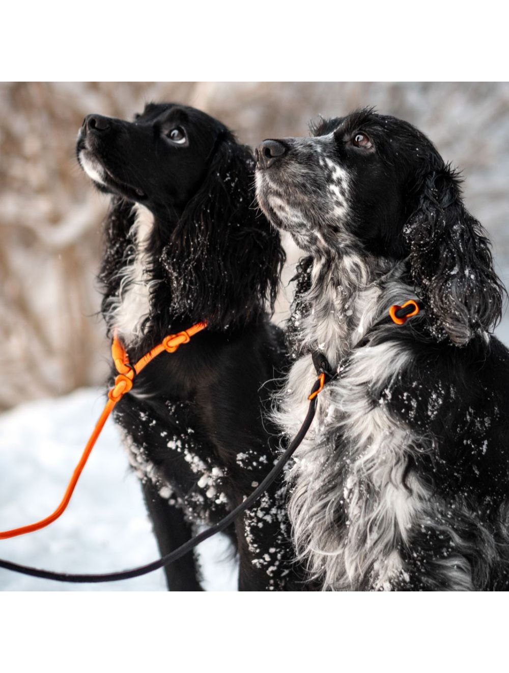 Non-Stop Retriever line orange 1,6 m.